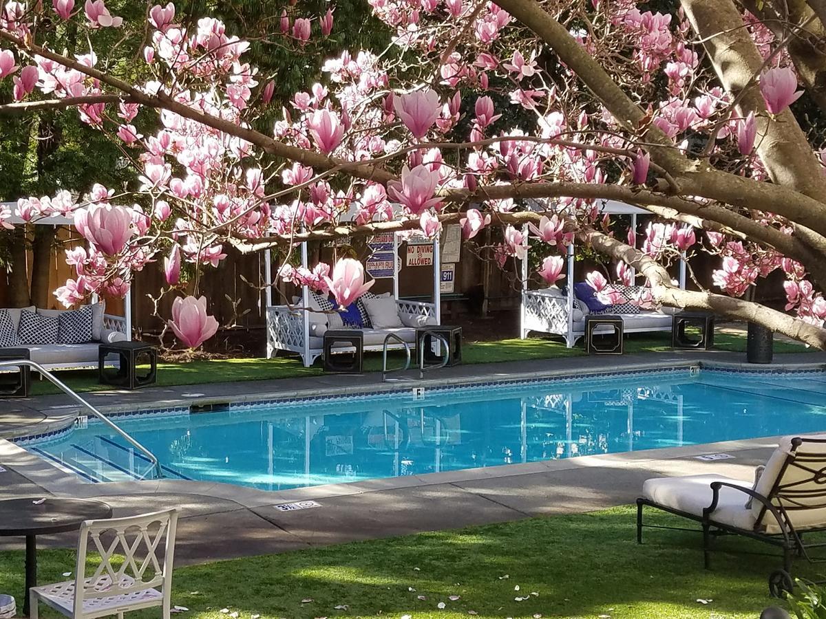 The White House Napa Valley Екстериор снимка